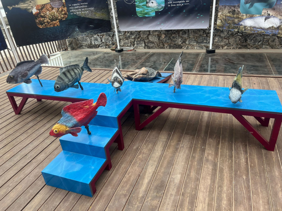 Exposición sobre la biodiversidad marina canaria en el Centro de Interpretación de los Hornos de Cal