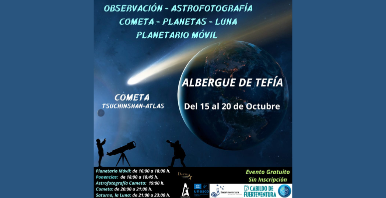 PLANTILLA WEB (4)