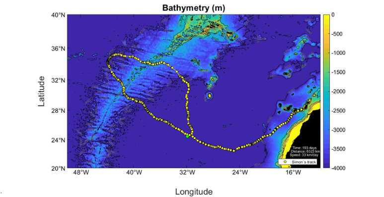 Recorrido de la tortuga Simón