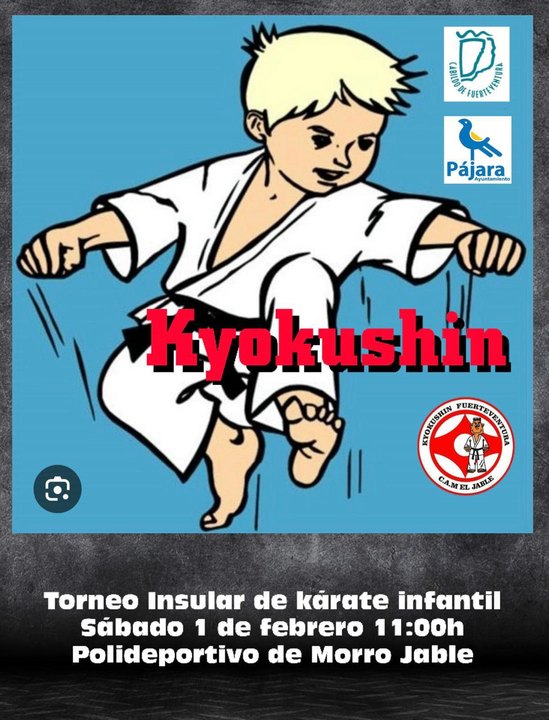 Torneo Insular de Kárate Infantil