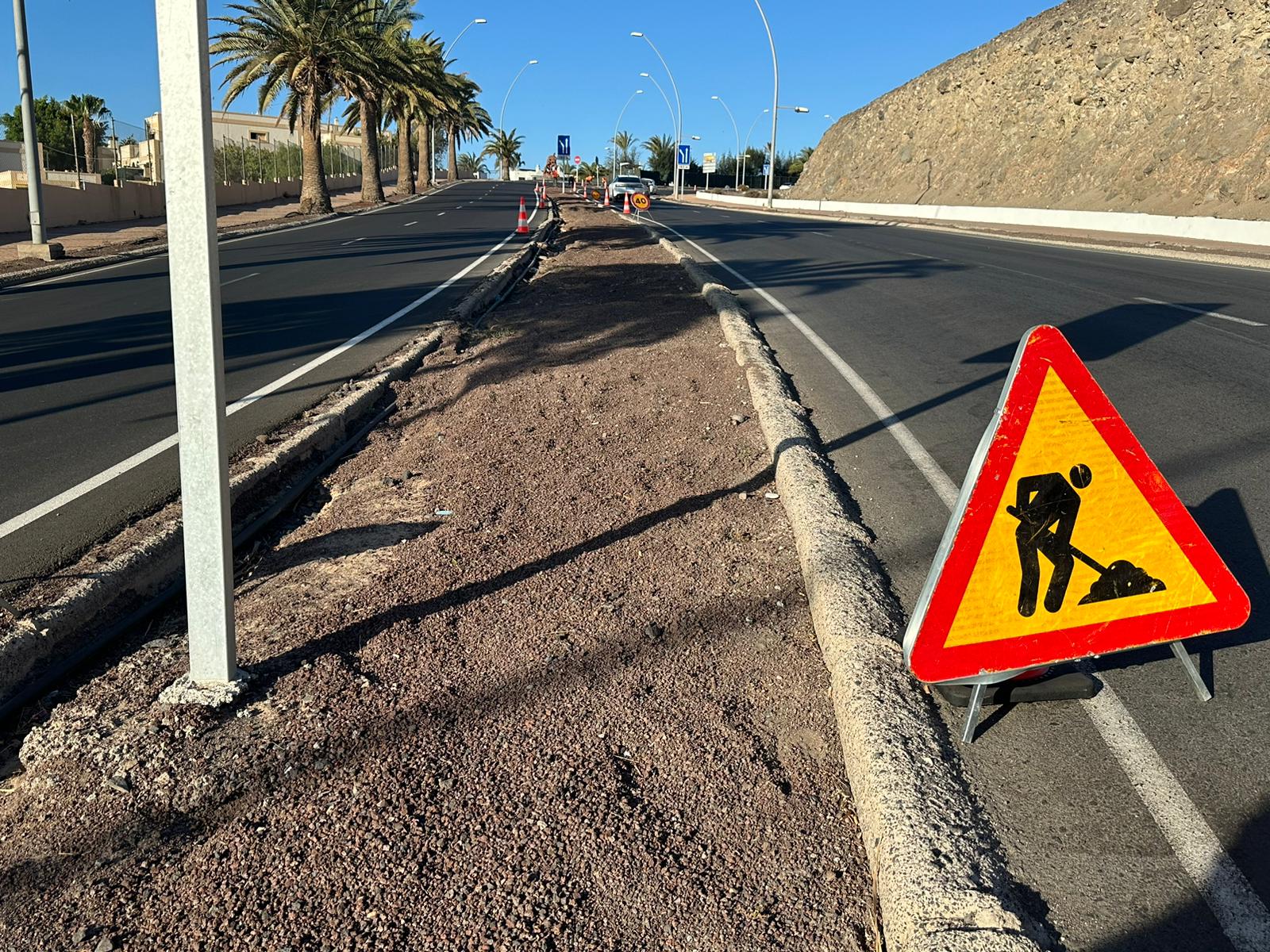 Mediana de la Avenida del Saladar